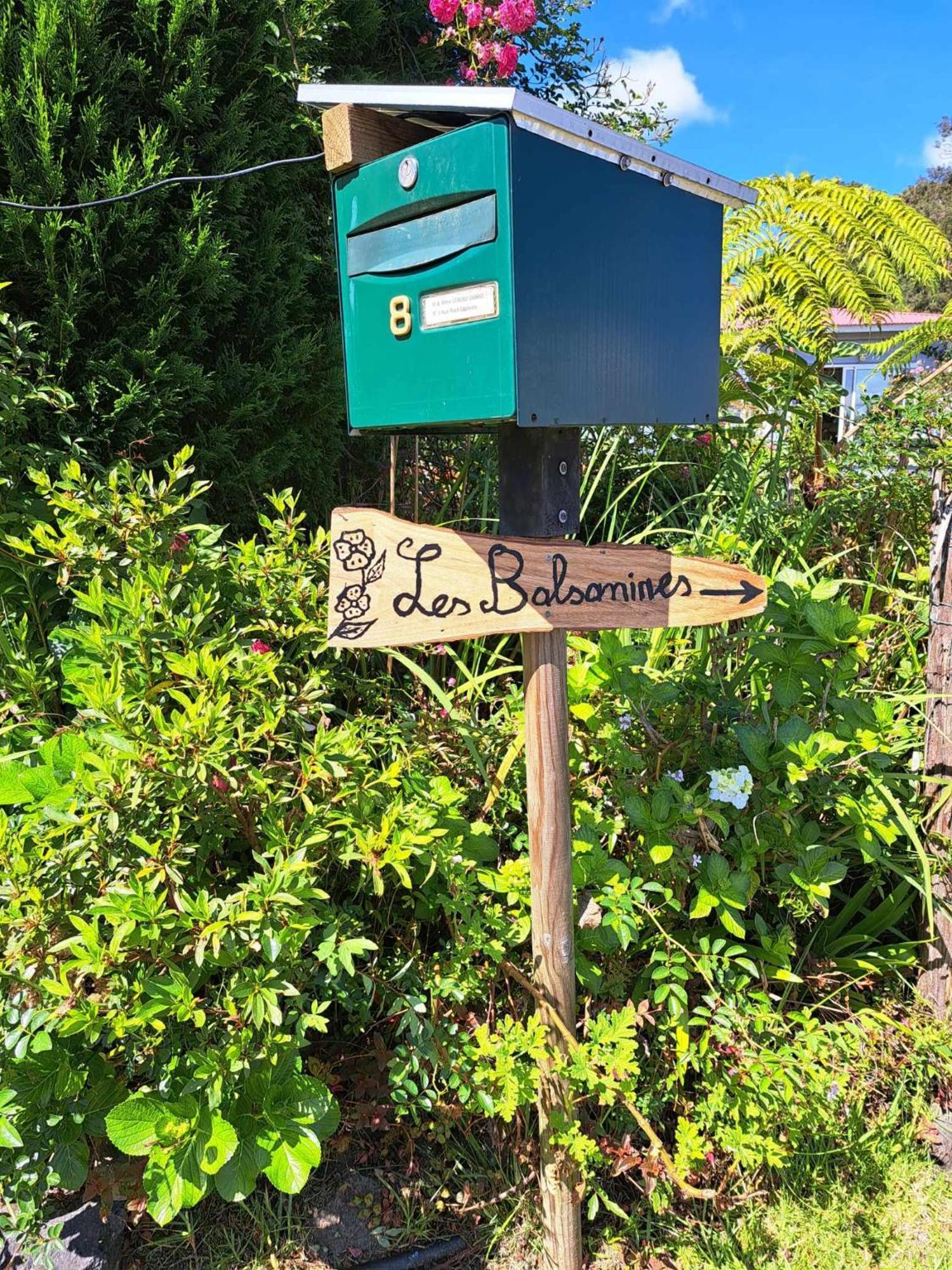 Les Balsamines Chez Michele & Daniel La Plaine des Palmistes Exterior foto